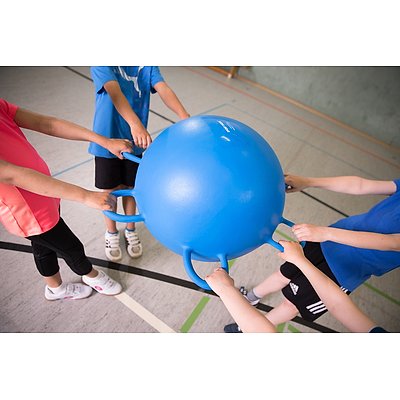 Sport-Thieme Kooperationsspiel „Ringelball“ Ansicht 5