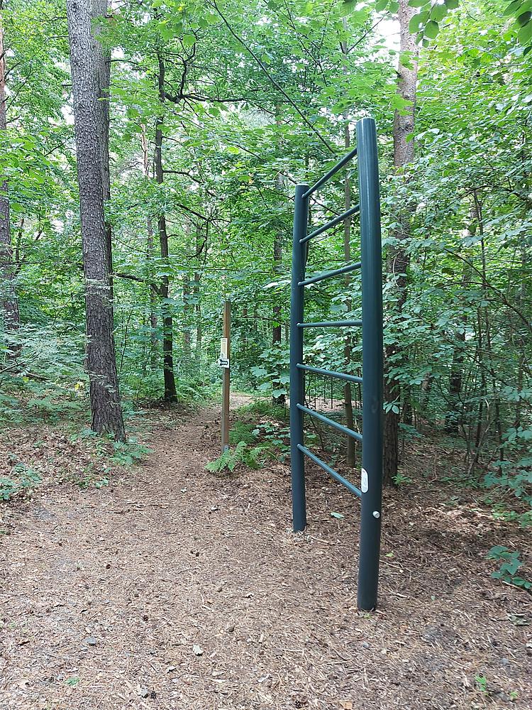 Calisthenics Sprossenleiter Ansicht 6