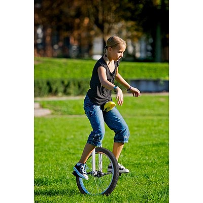 Qu-Ax Einrad „Luxus Outdoor“ Ansicht 3