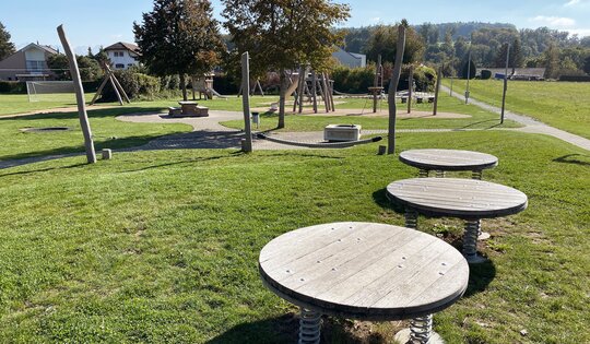 Hopserplatte in Holz Ansicht 3