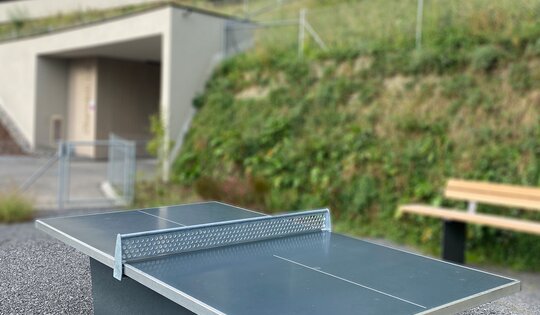 Tischtennis box anthrazit, mit Metallunterbau Ansicht 3