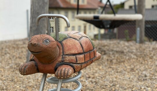 Schildkröte Ansicht 2