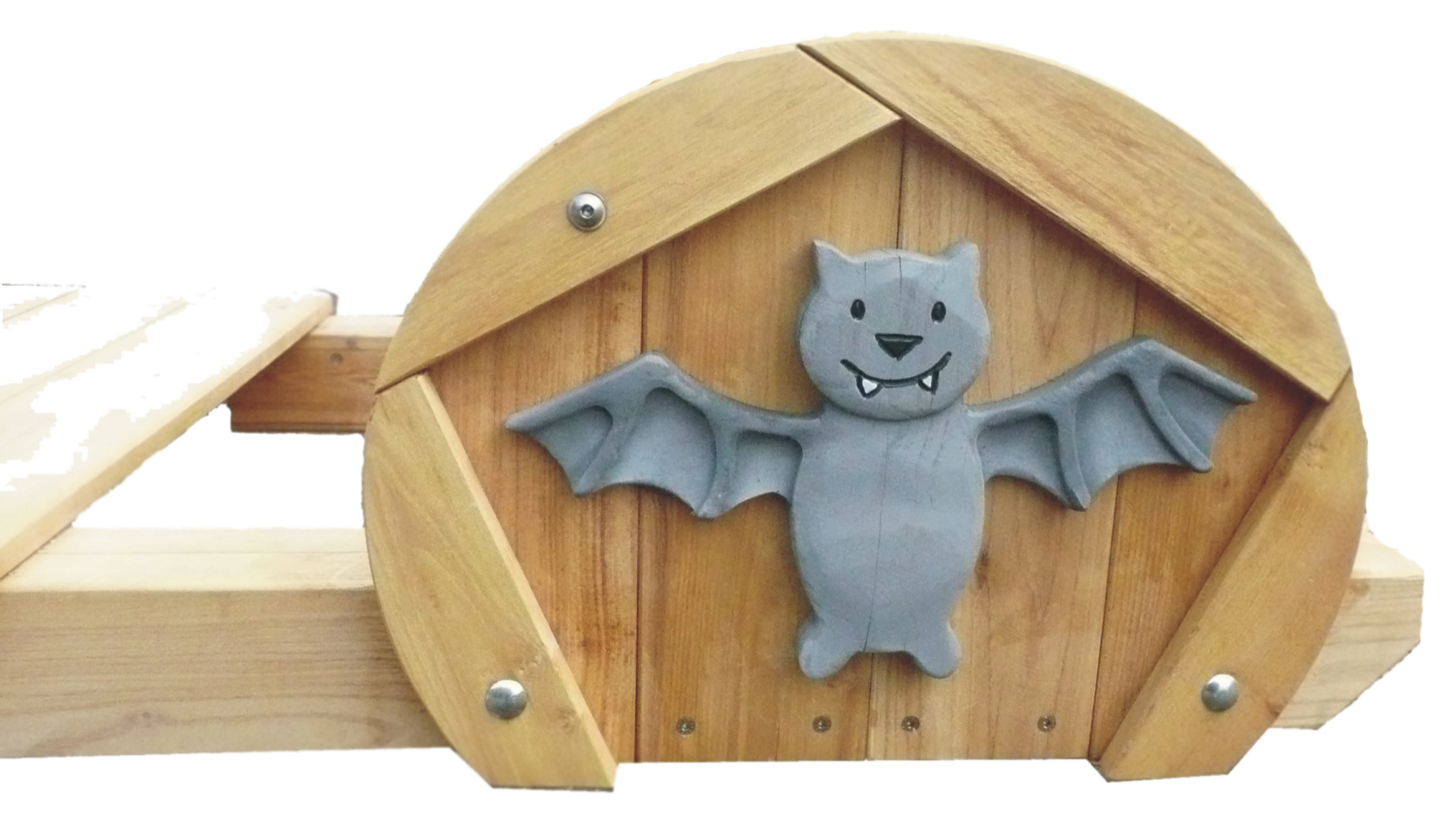 Breitwippe Fledermaus Ansicht 4