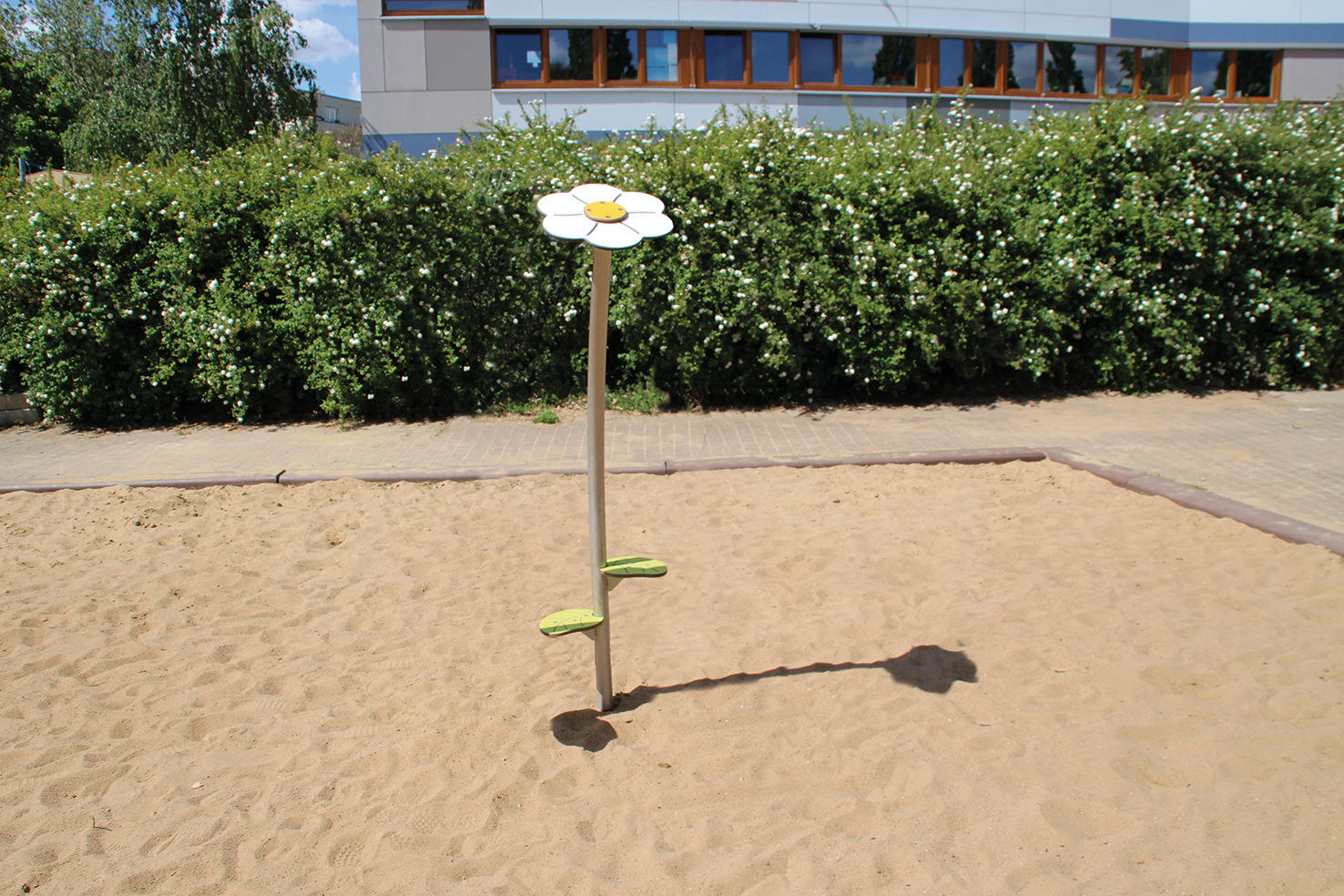 Steigblume 2181 Ansicht 4