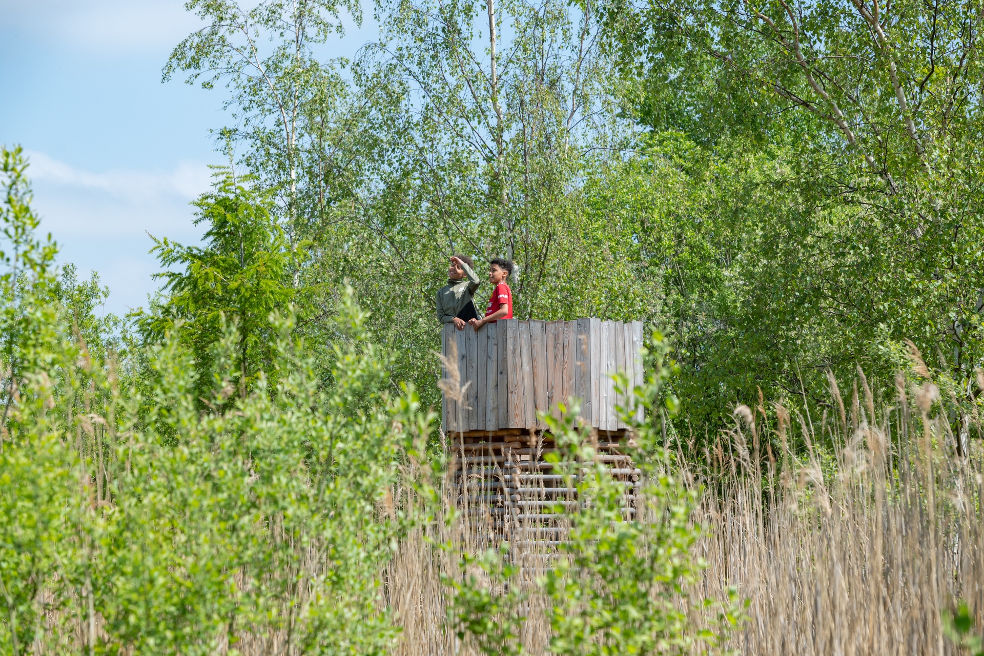 Achteckturm Ansicht 3