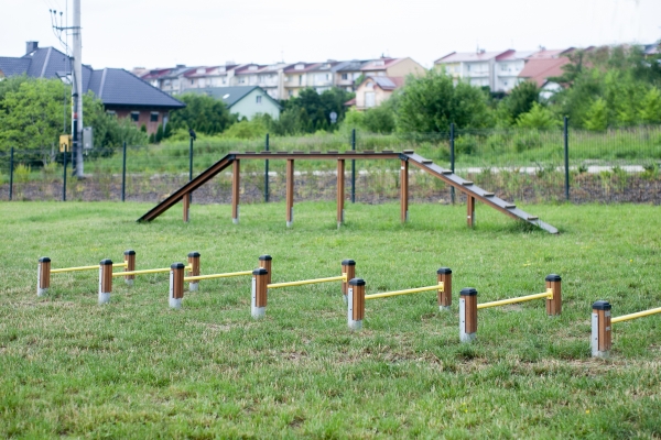 Hunde Mini-Sprungstangen Ansicht 5