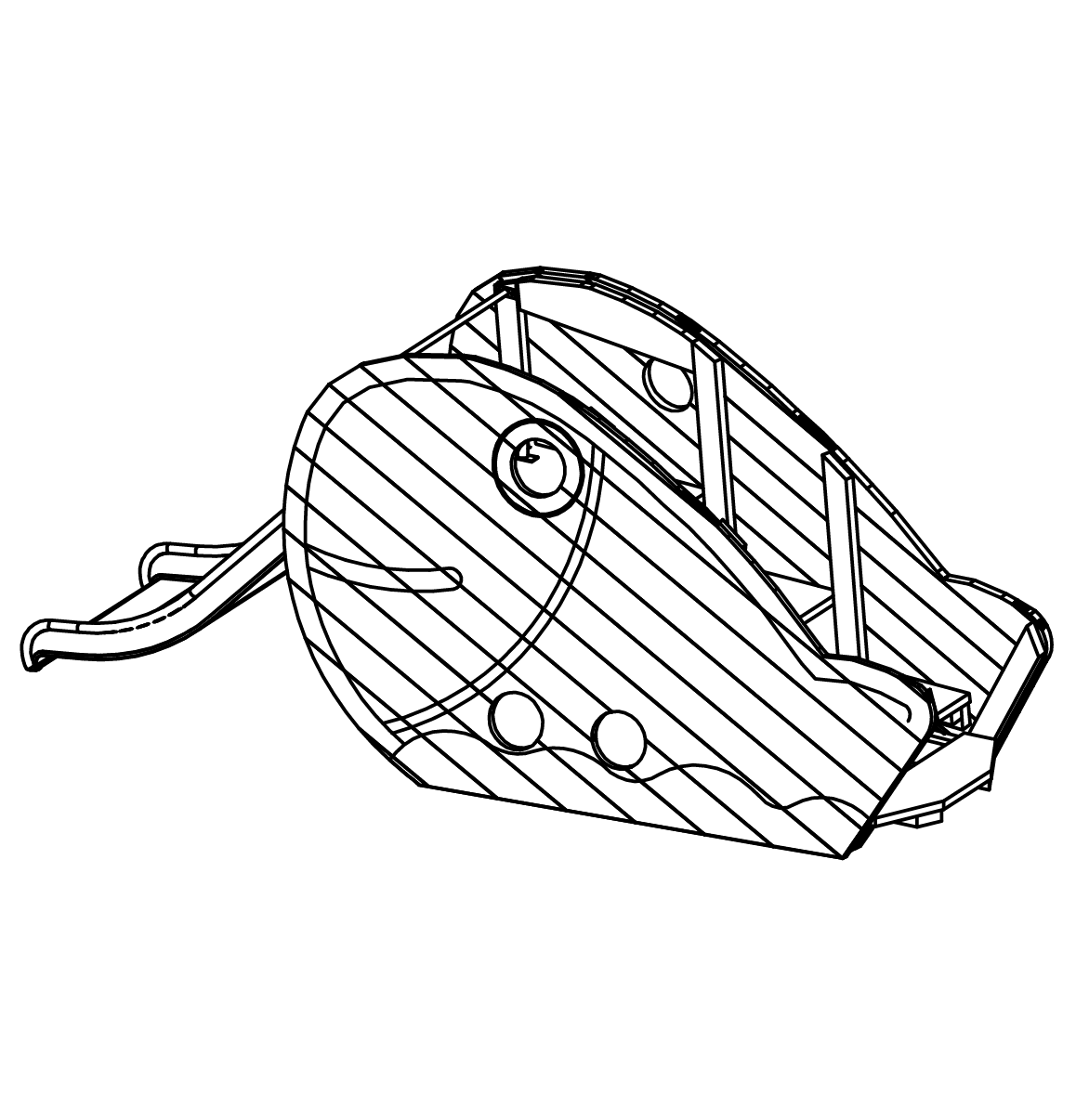Großer Fisch Ansicht 2