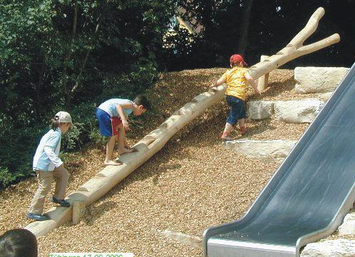 Stammtreppe mit Gabel 6m Ansicht 2