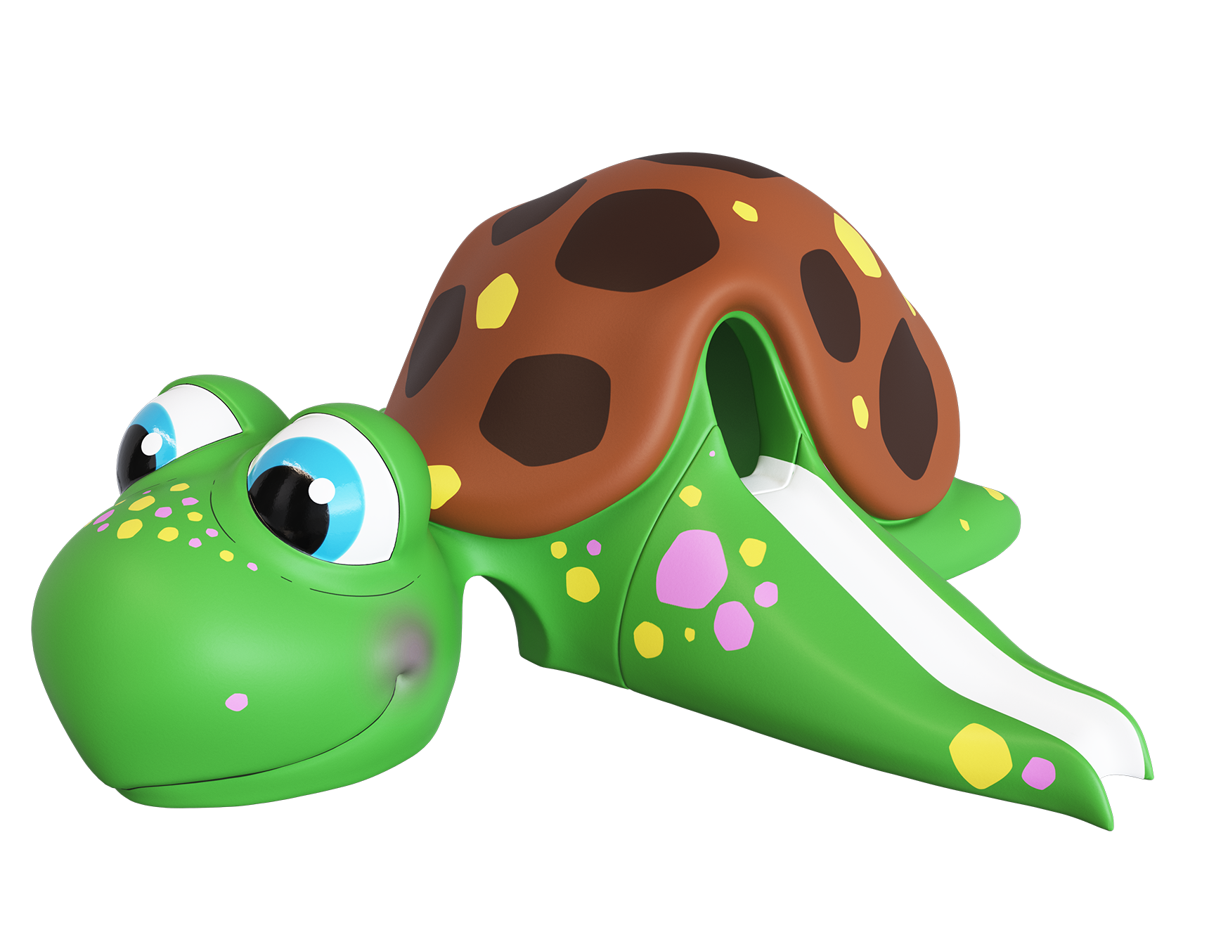 Die Schildkröte Ansicht 2