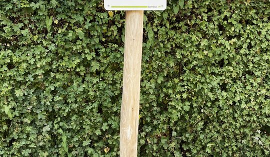 Infotafel 1 Standard - Holzpfosten, Deutsch Ansicht 2