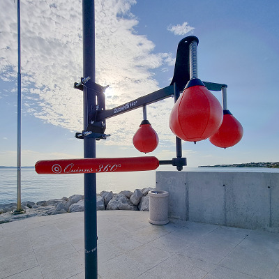 Quinns Boxtrainer „360°“ Ansicht 2