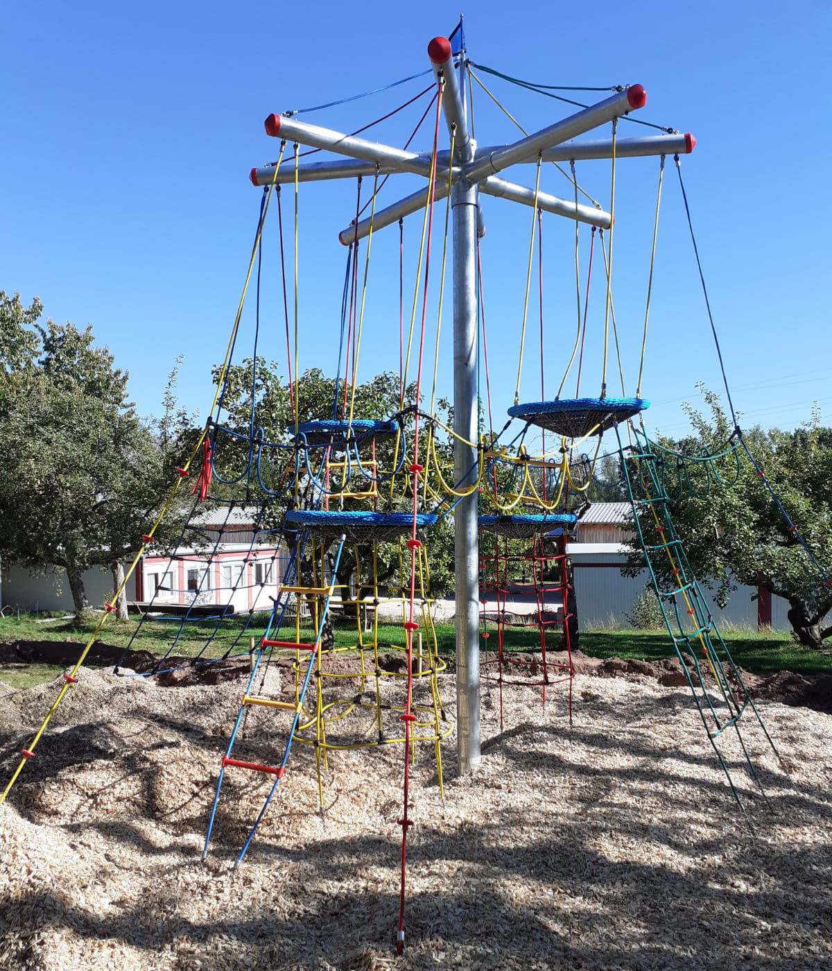 Vogelnestbaum Ansicht 2