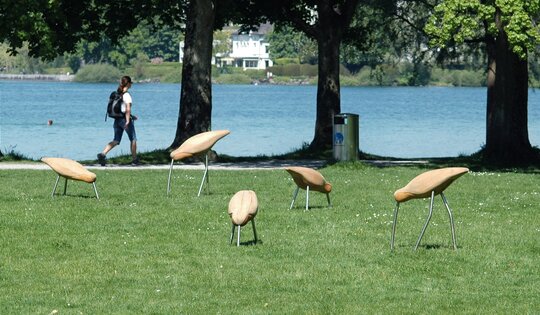 Der Spatz Ansicht 2