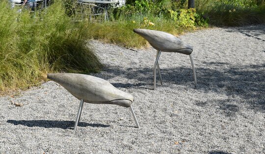 Der Spatz Ansicht 4