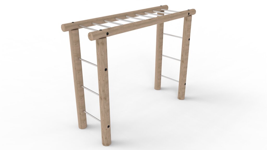 Schaukelgestell mit Hangelstrecke Ansicht 2
