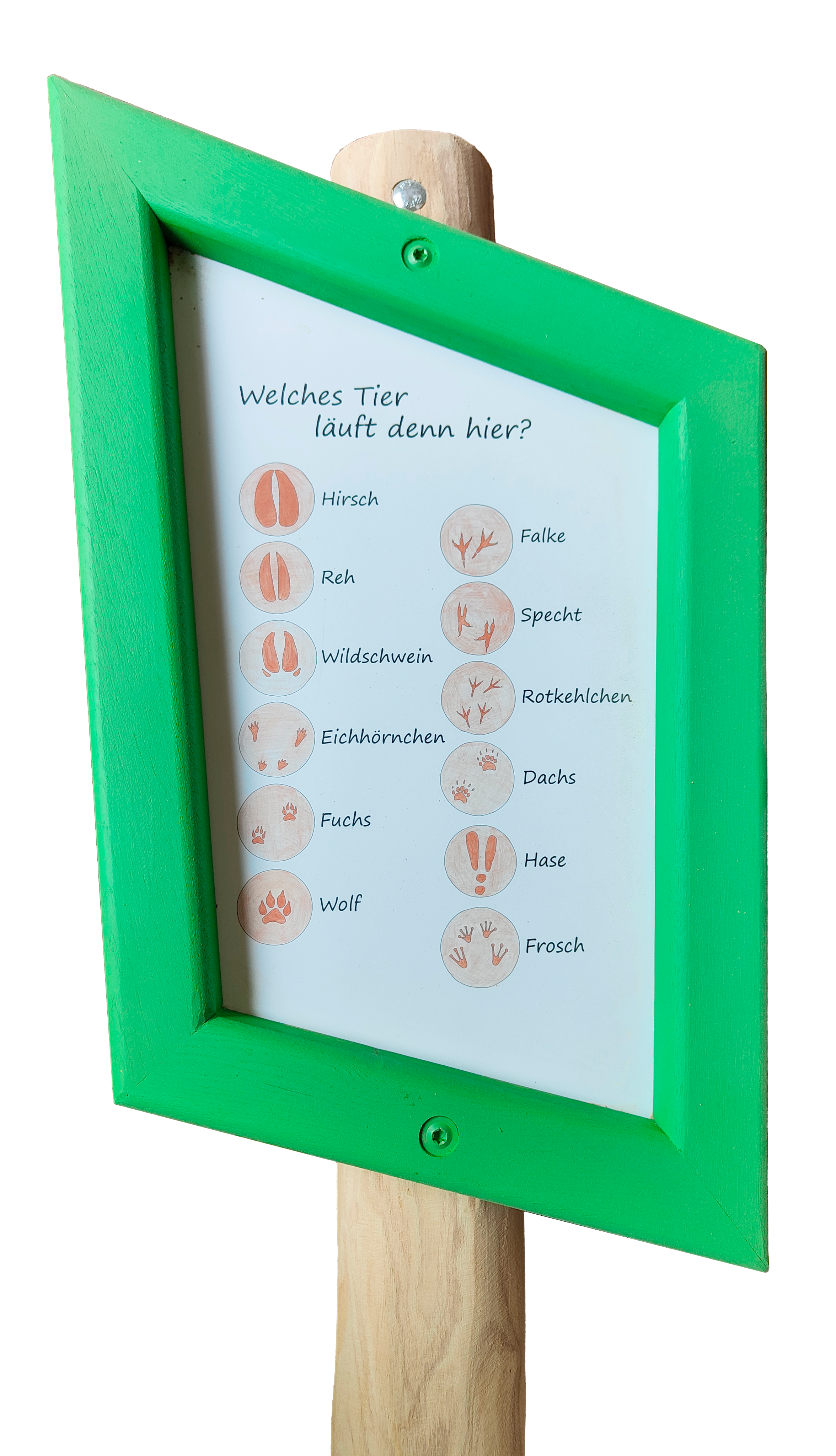 12 Balancierpoller Tierspuren inkl. Infotafel Ansicht 4