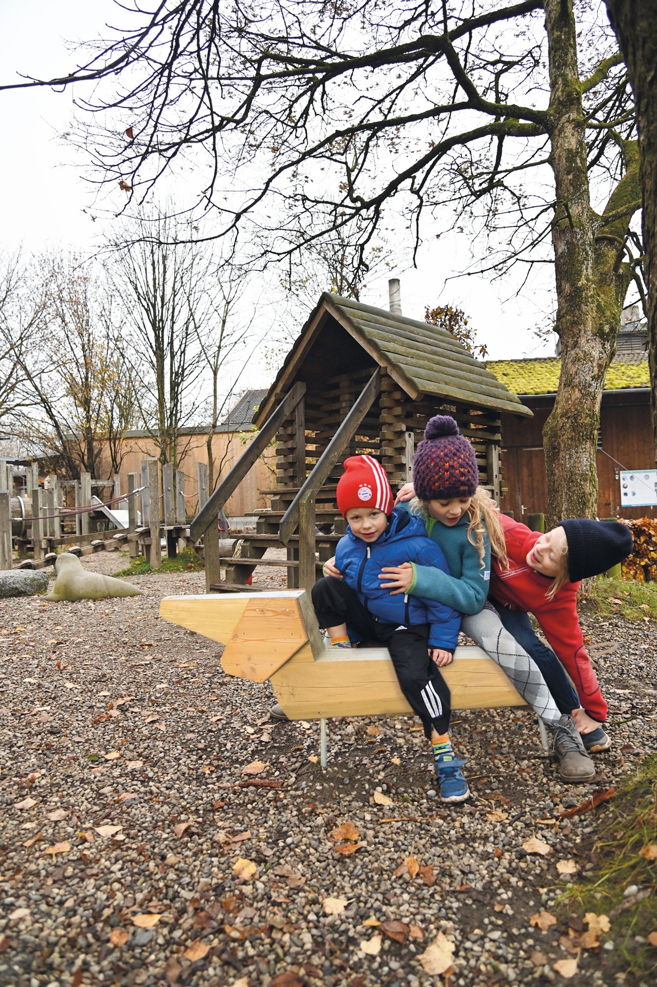 Dackel Ansicht 3