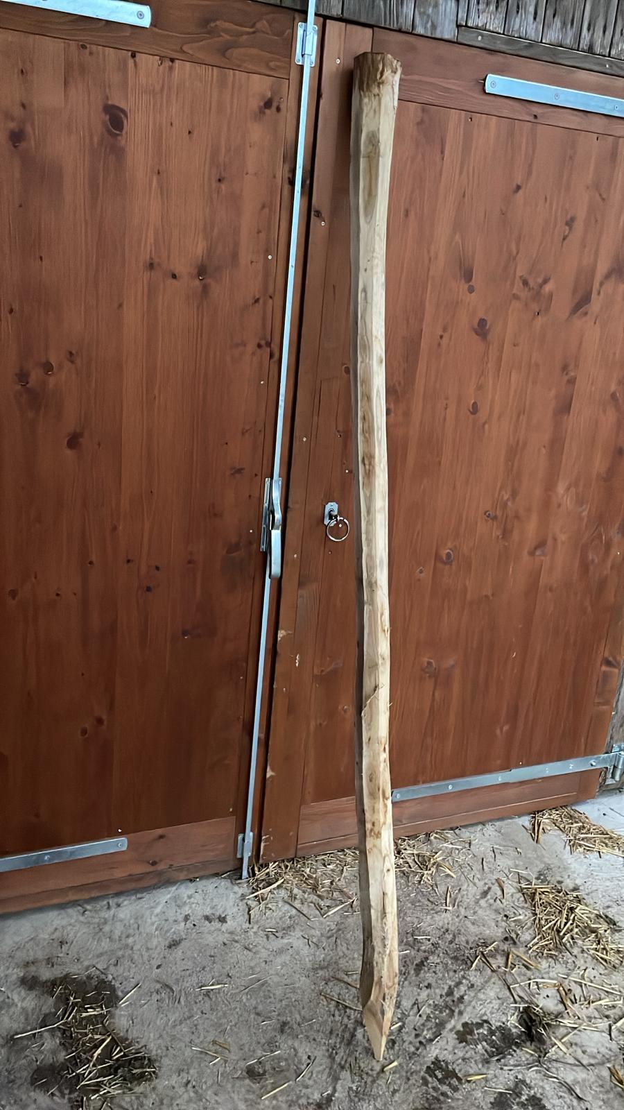 Robinienpfahl rund 200 cm Ansicht 4