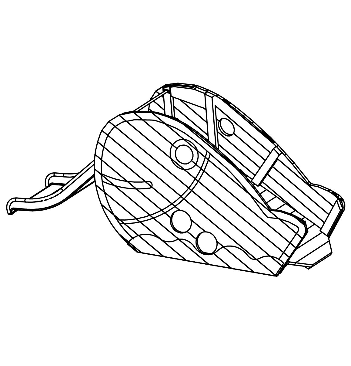 Großer Fisch Ansicht 2