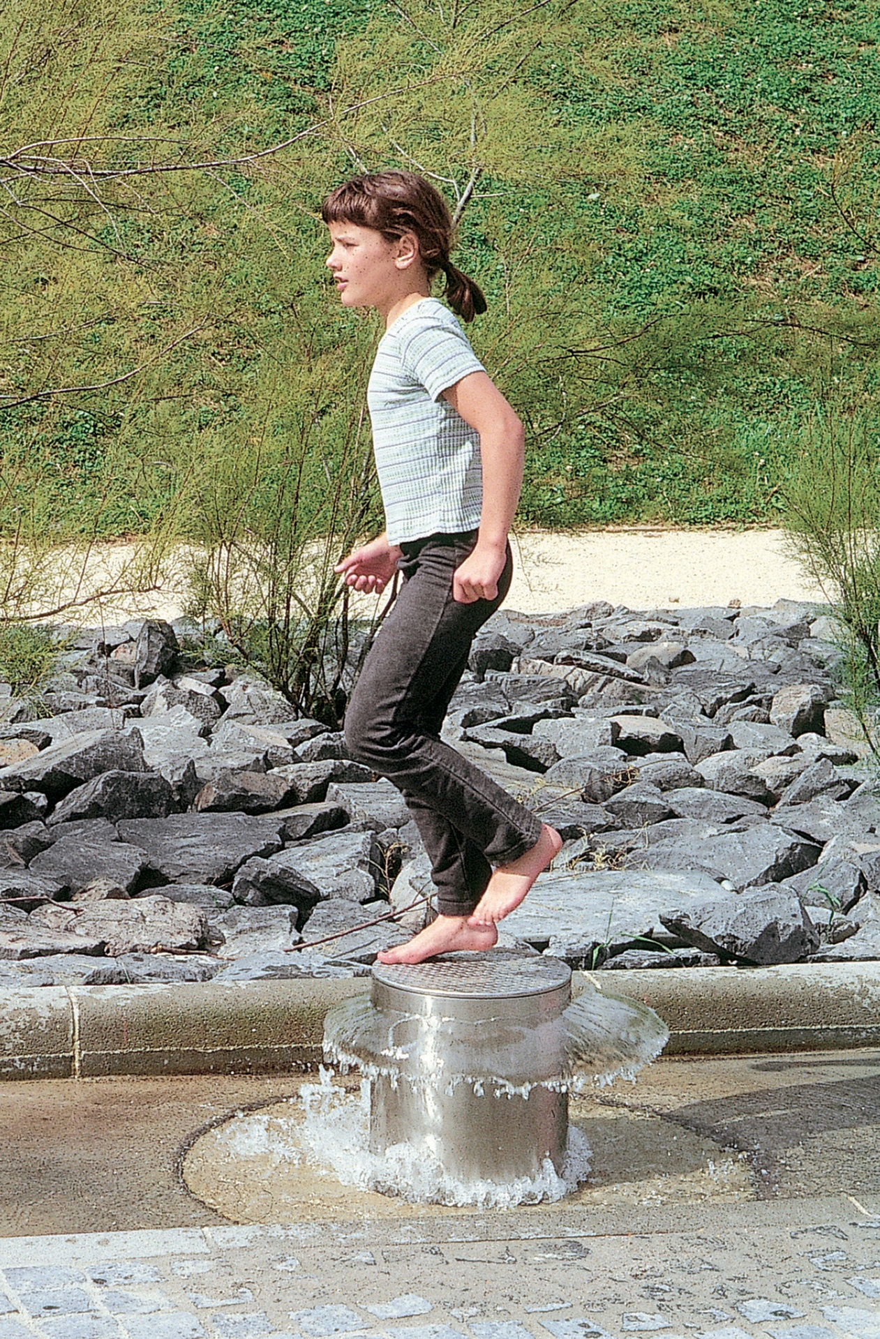 Wasserpilz Ansicht 3