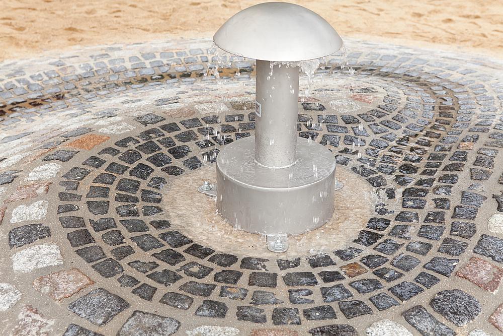 Wasserpilz Ansicht 4