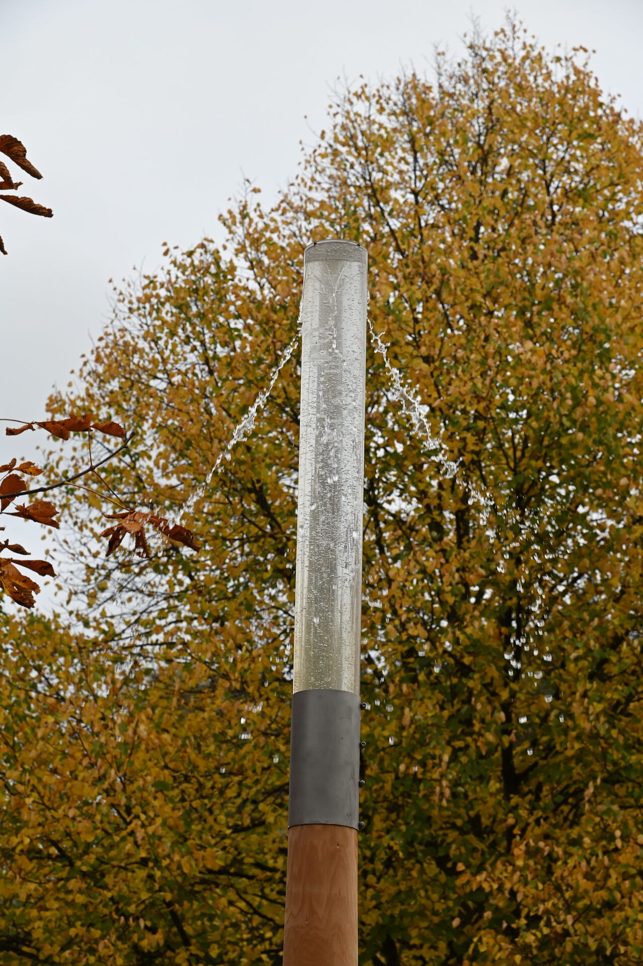 Wasserwald – Kombination 02 Ansicht 4
