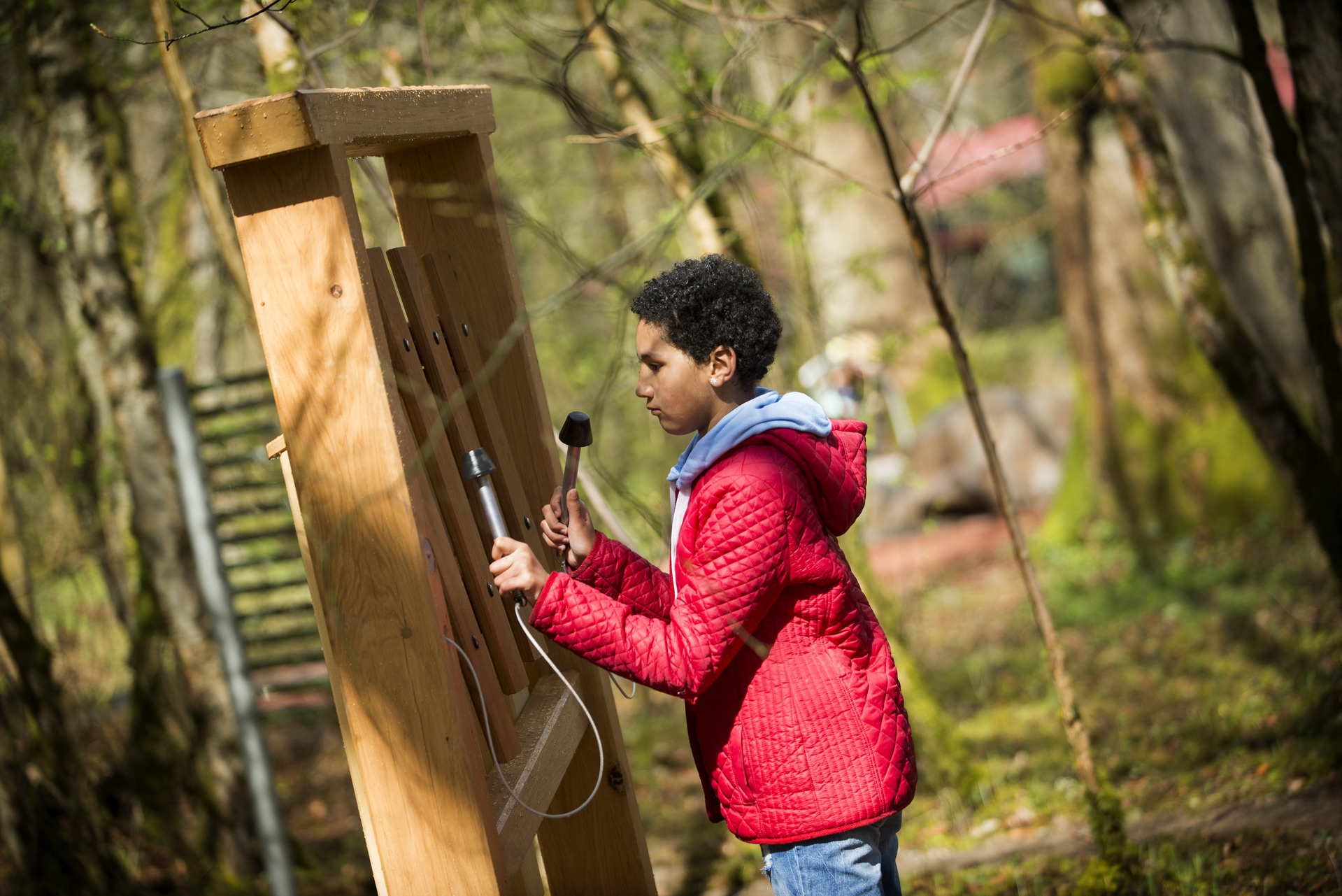 Dendrophon Ansicht 4