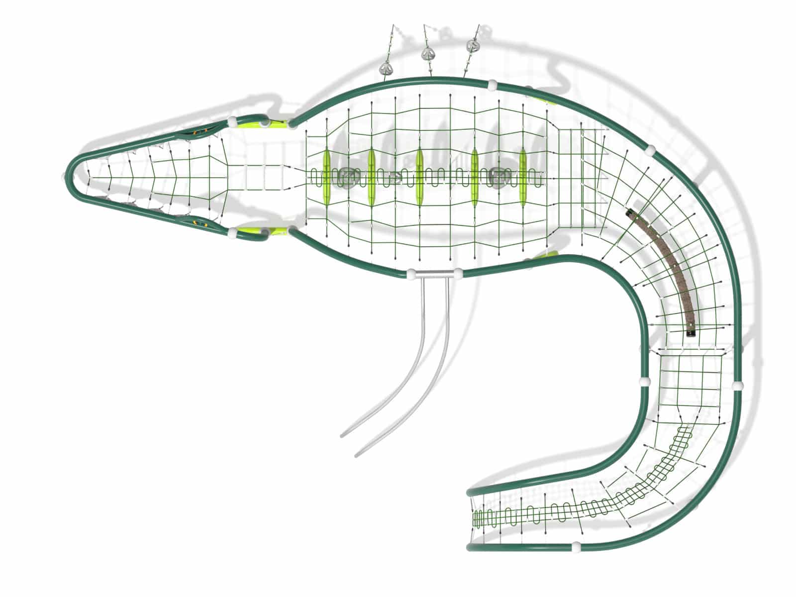 Crocodille Ansicht 4