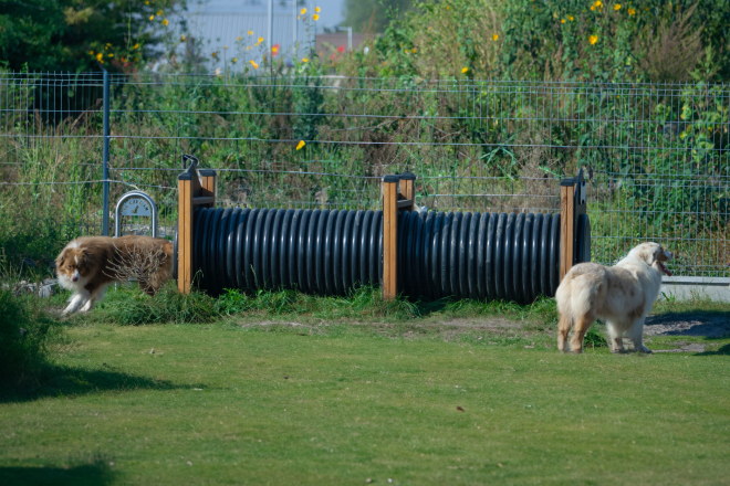 Tunnel für Hunde Ansicht 3
