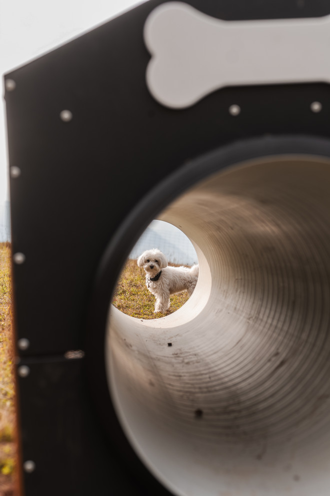 Tunnel für Hunde Ansicht 4