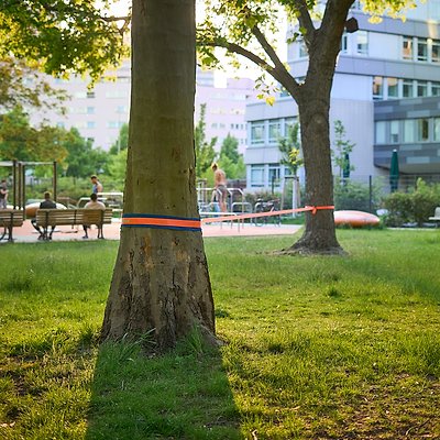 Sport-Thieme Slackline-Set „Balance“ Ansicht 3