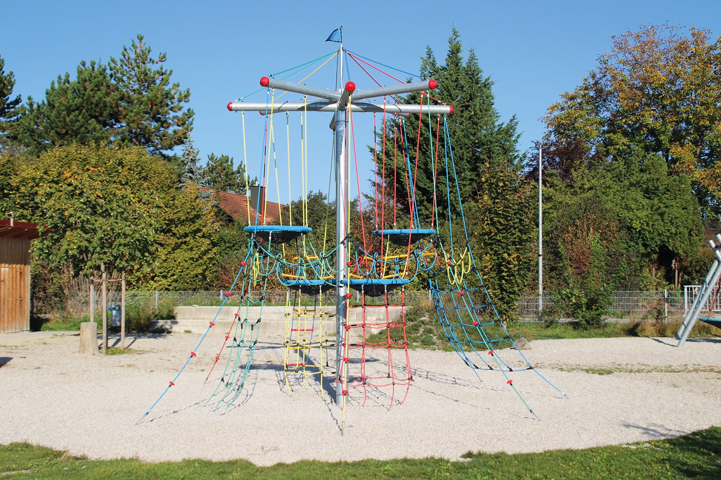 Vogelnestbaum 6290 Ansicht 4