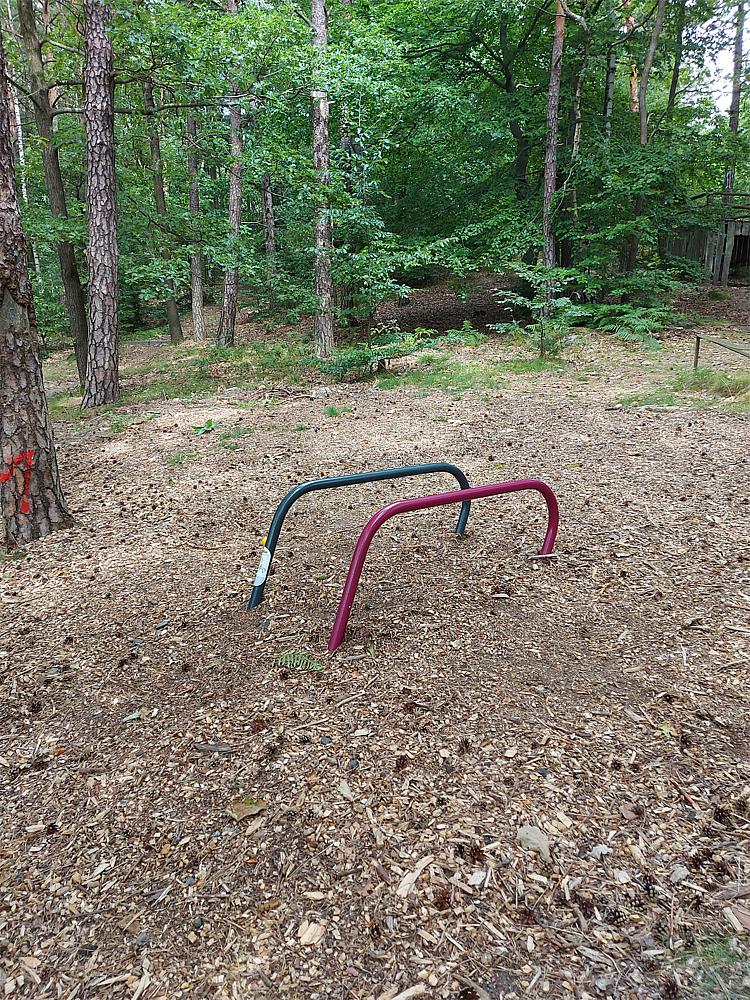 Calisthenics Parallets Ansicht 5
