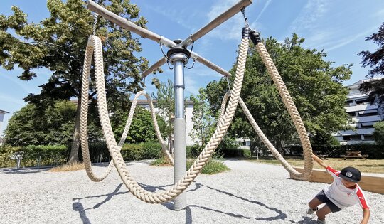 Die Lianenschaukel nature