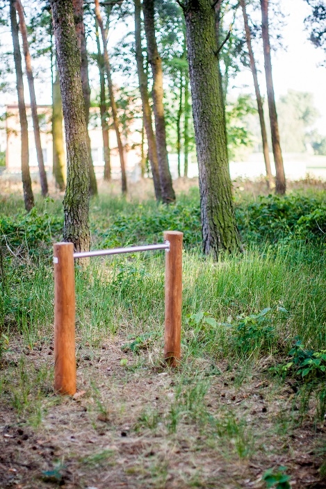 Einzelreck Robinie Ansicht 3