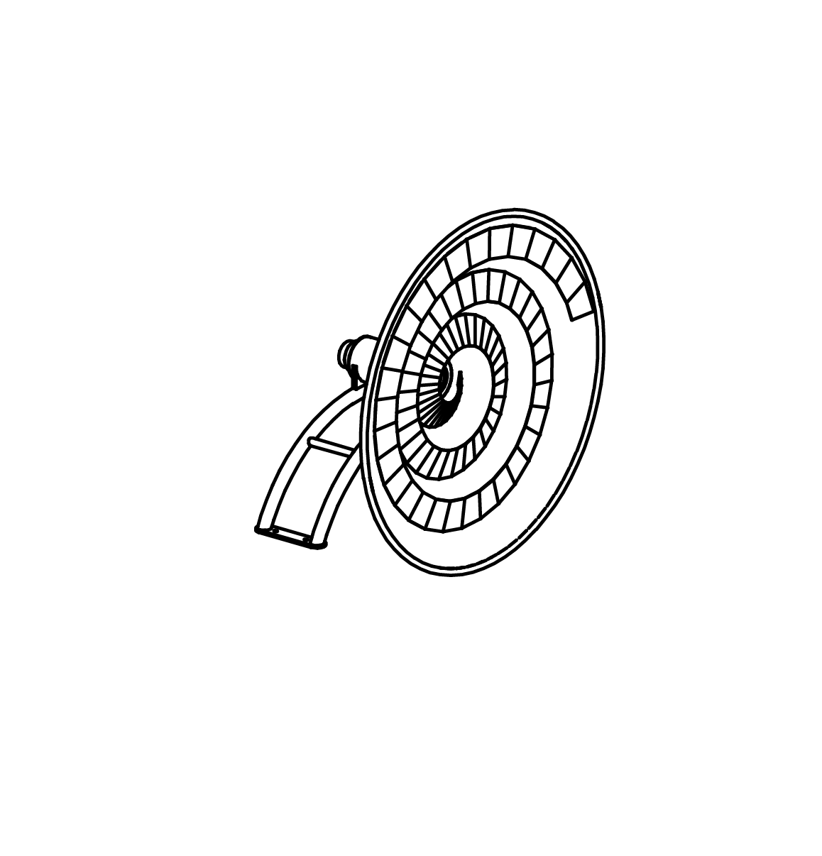 Nautilusschnecke Ansicht 2