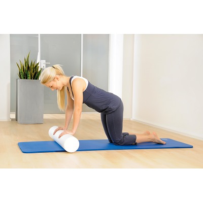 Sissel Pilates Roller Ansicht 2