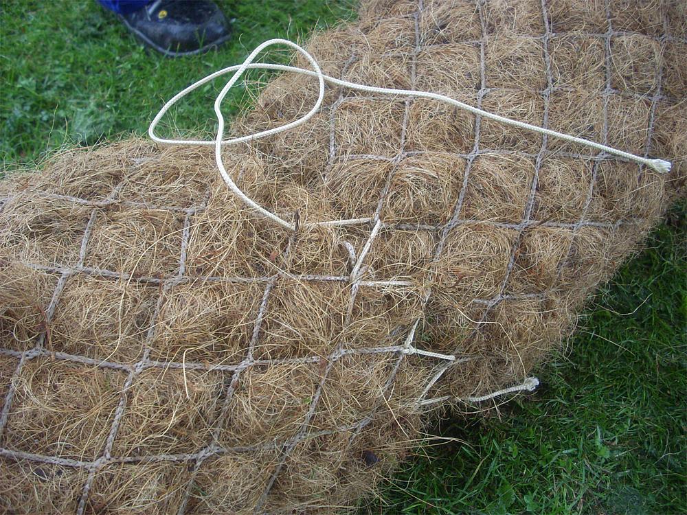 Sandwalze Ansicht 6