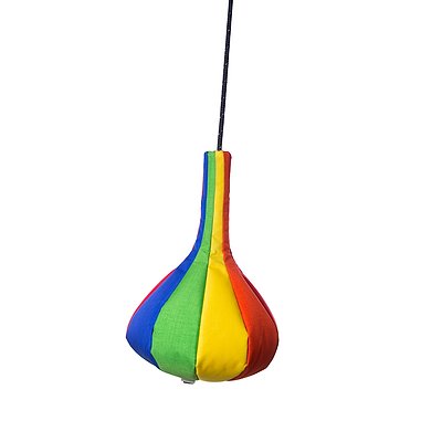 Sport-Thieme Traubenschaukel „Rainbow“ Ansicht 4