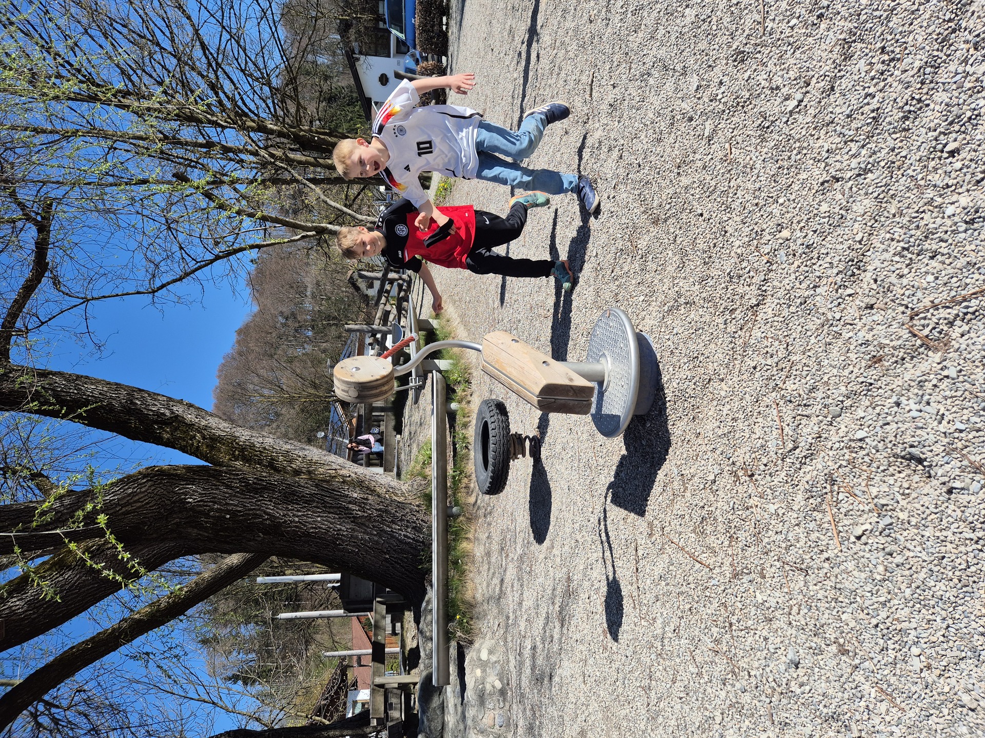 Drehreiher Ansicht 3